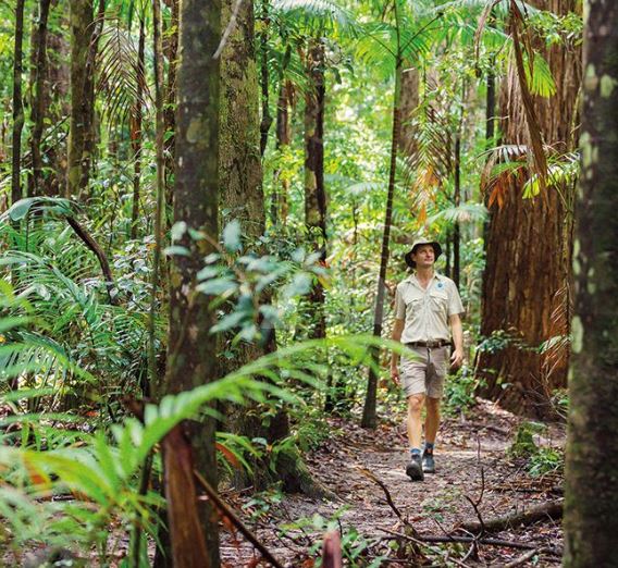 1 Day Tour to K'gari (Fraser Island) - Expression of Interest 2026